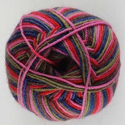 WYS - Signature 4 Ply - Zandra Rhodes Collection - 1026 Forest Stripes